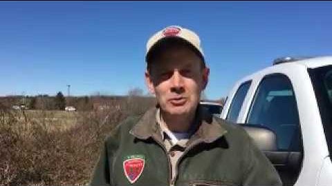 Riparian Buffer Tree Planting Introduction