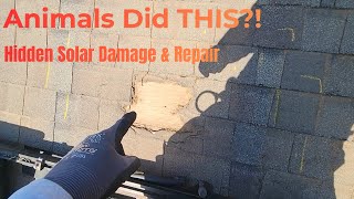 The #1 Solar Problem Homeowners Never See… And How to Fix It Fast!