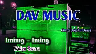 DAV Music ~ Iming - Iming Voc.Widya Swara ~ Live Balong Kawok Ngunut