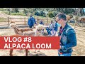 Vlog 8 the alpaca loom