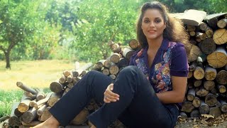 Jayne Kennedy's Net Worth: From NFL Broadcaster to Millionaire! Net Worth