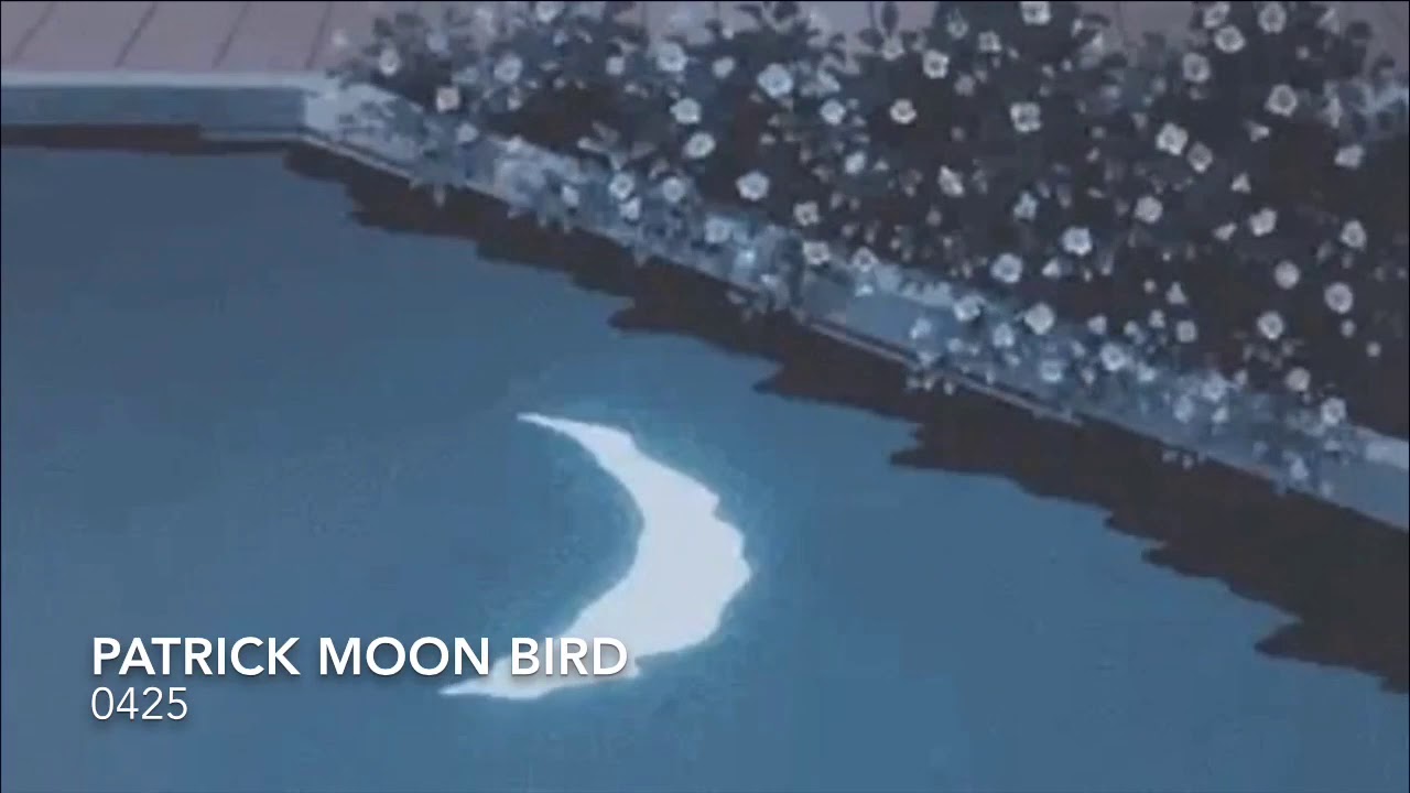 Watch Patrick Moon Bird - 0425 on YouTube Watch Patrick Moon Bird - 0425 on YouTube