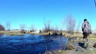 Ямал Весенняя Рыбалка На Протоке ,Язь,Сорога,Окунь