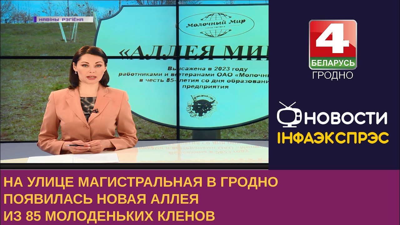 На улице Магистральная в Гродно появилась новая аллея из 85 молоденьких ...
