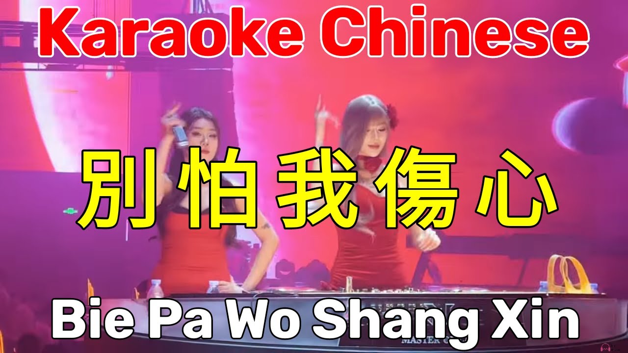 Karaoke DJ Chinese l 别怕我傷心 l Bie Pa Wo Shang Xin l Viethoa Karaoke