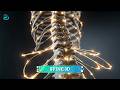 Spine 3D - Dott. Elio Burini - Salute in Prima Linea - puntata 04