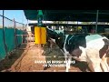 COW COMFORT BRUSH