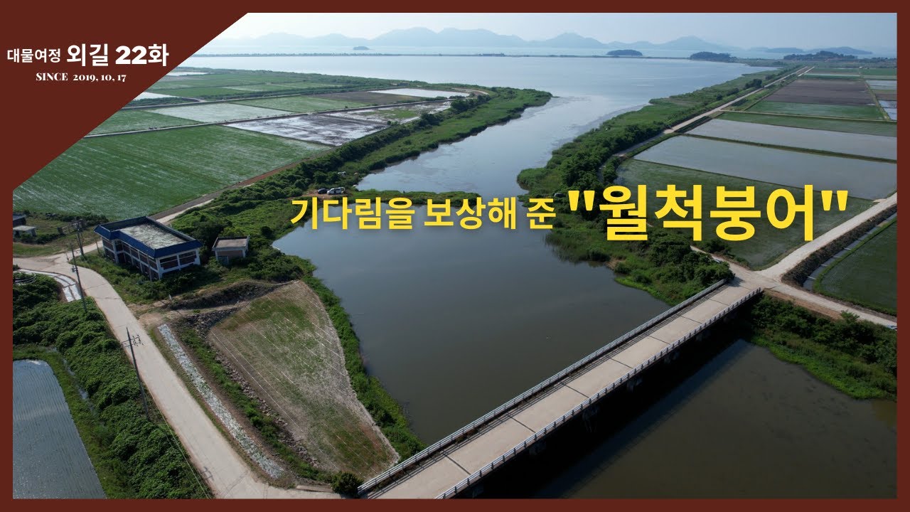 대물여정 외길 [22화] 기다림을 보상해 준 월척붕어