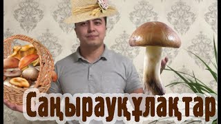 видео: Саңырауқұлақтар картинка: Саңырауқұлақтар