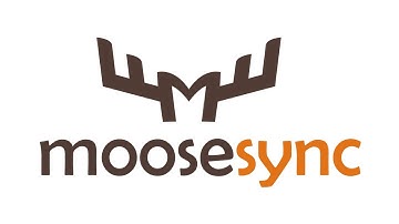 Auto Launchers by Moose Sync - Schedule products import and update on Shopify
