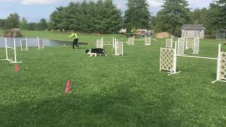Threadle exercise