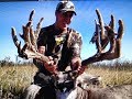 BOWHUNTING GIANT MULE DEER! | L2H S07E05 "Bowhunter"