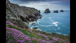 Didier Squiban : Iroise (Molène)