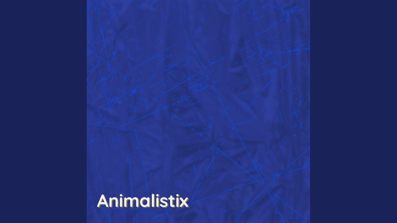 Monkeys Chattering auf YouTube ansehen Monkeys Chattering auf YouTube ansehen