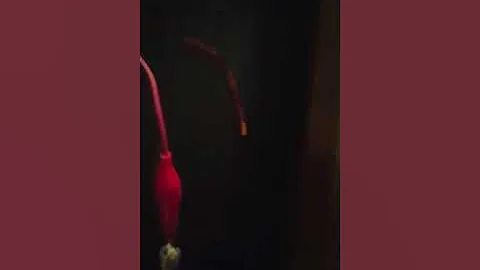 Continuity Test Camper Antenna