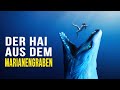 Der Hai ist Beängstigender als Megalodon aus dem Marianengraben