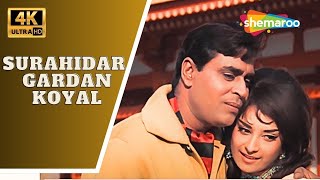 Surahidar Gardan Koyal - 4K Video | Aman | Rajendra Kumar, Saira Banu | Mohd Rafi | Masti Bhare Geet