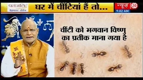 घर मे चीटियां है तो जानिए हल Kaalchakra