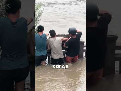 Казахские ТУРИСТЫ спасли ТЕЛЕНКА и маму😢🌊🐮