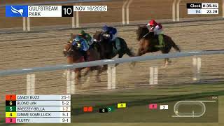 Gulfstream Park November 16, 2025 Race 10