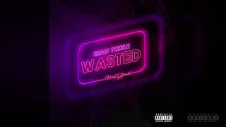 Video thumbnail of "Sean Tizzle - Wasted [Official Audio]"