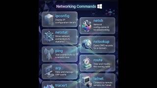 Essential Windows Networking Commands You Should Know! ⚡ #shorts #networking #computernetworking
