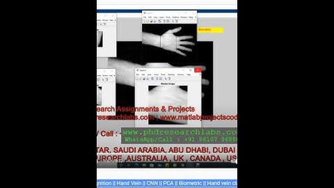 Hand Vein _ Dorsal Vein recognition _ CNN _ PCA _ Biometric _ Hand vein classification_CNN | MATLAB