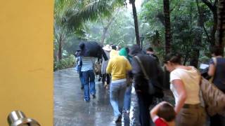 Mexiko - Monsunregen