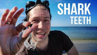 Manasota Key Beach, Shark Teeth!