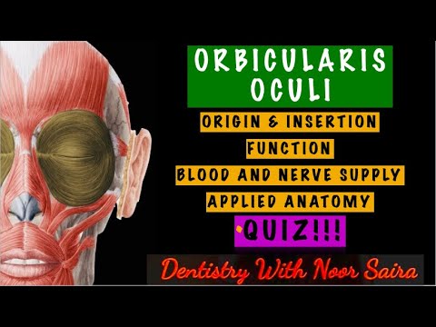 Video: Orbicularis Oculi Muscle Function, Origin & Anatomy - Kroppskartor