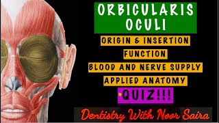 ORBICULARIS OCULI SIMPLIFIED!!!/ORIGIN, INSERTION, FUNCTION, INNERVATION, APPLIED ANATOMY.