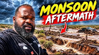 Monsoon Transformation: Nature’s Spectacular Return to Green
