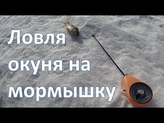 Много лет не ловил на мормышку, вот вспомнил. Смотрите...