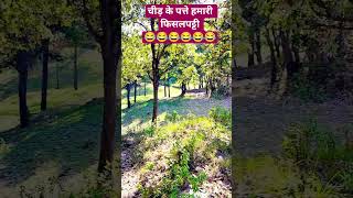 गाँव में बचपन की यादें😂😂😂#love #pinetrees #mountains #deodar #angst