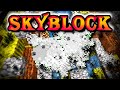 so I blew up my island (kind of) | Solo Hypixel SkyBlock [209]