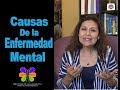 Las Enfermedades mentales y sus causas