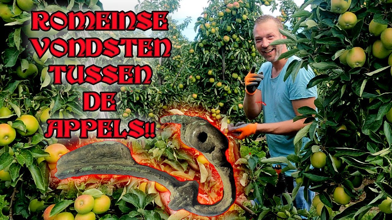 ZOVEEL ROMEINSE VONDSTEN tijdens METAALDETECTIE in een BOOMGAARD BIZAR! 