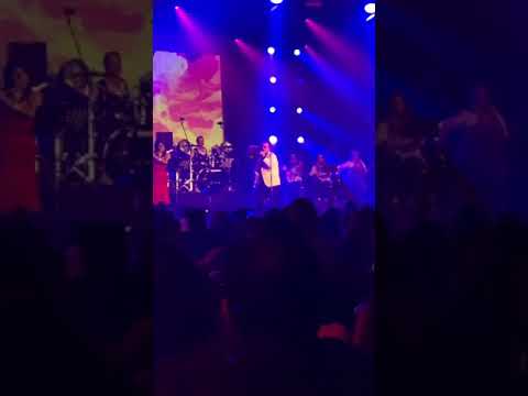 معين بي بي گل Zürich