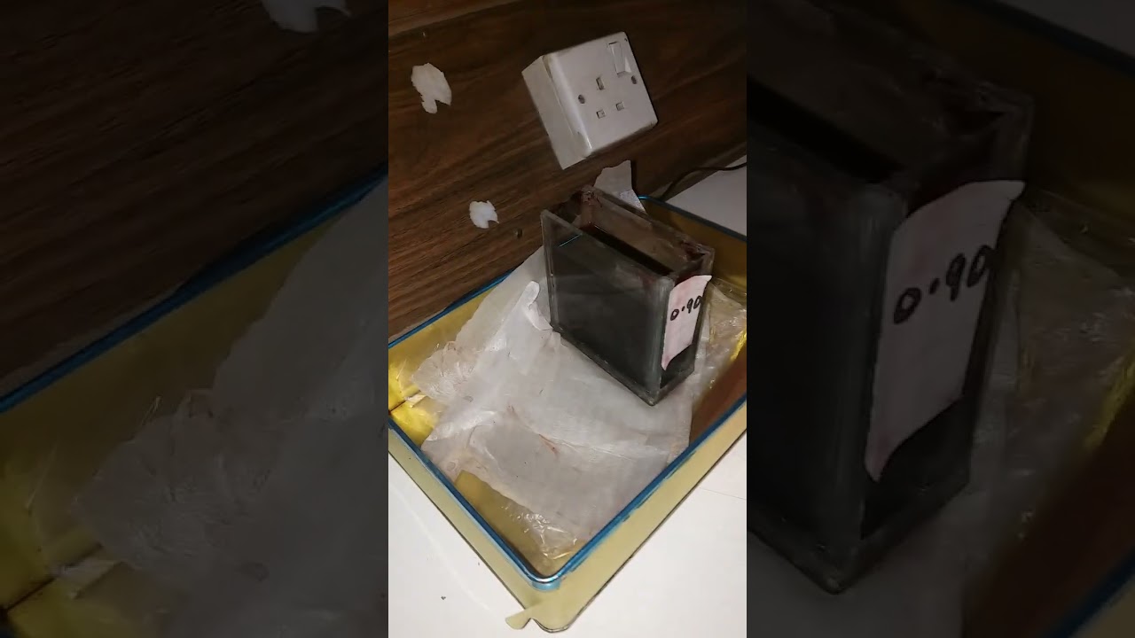 توهين الشعاع الضوئي بواسطة الامتصاص