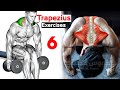 How To Build Your Trapezius Fast (6 Effective Exercises)-تمارين ترابيس