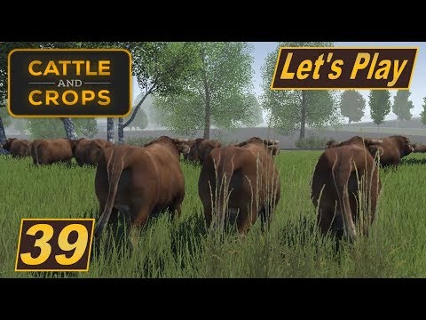 cattle and crops roadmap Cattle and Crops #39 Viel Schlafen und Freiland Rinder kaufen #Landwirtschaft Simulator #deutsch