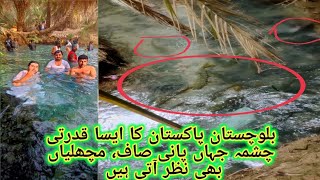 Natural Beauty|پہاڑ سے نکلتا صاف چشمہ|beautiofpakistan balochistanbeauty