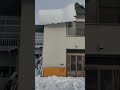 落雪の瞬間を撮ろうと思ったけど失敗した動画🌈