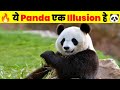 ये illusion एक Indian पहेली हे 🔥| Optical illusion | #illusion #ytshorts #shorts