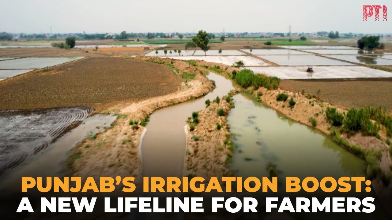 Punjab’s irrigation boost brings new lifeline and stability for farmers