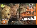Amouddou tv 128 le jardin zoologique de rabat     