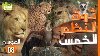 Amouddou TV 128 Le jardin zoologique de Rabat أمودّو / ثروة النظم الخمس