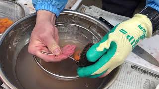 家庭にある道具でできる、ウニの殻割り方法！　日高の春ウニ、バフンウニの美味しそうな身は家庭でこんな風に出せるのです♪