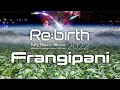 Frangipanirebirth 2022jul1710001100 psychedelic village
