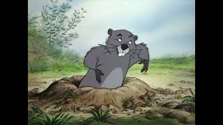 Information Meet Gopher News